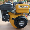 Motor Robin EX21