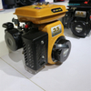  Motor Robin EY15