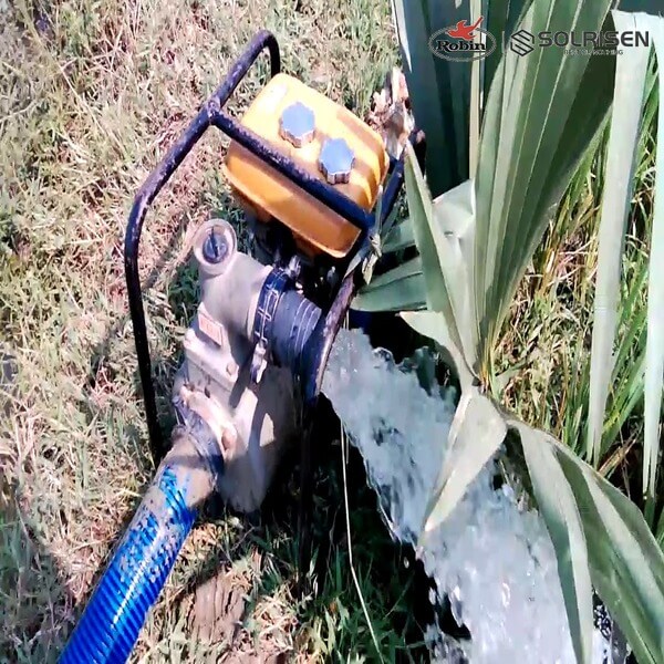bomba-de-agua-de-basura-robin